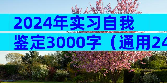 2024年实习自我鉴定3000字（通用24篇）