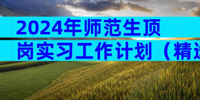 2024年师范生顶岗实习工作计划（精选3篇）