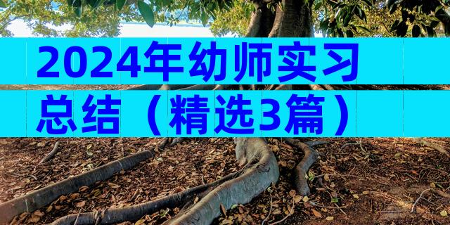2024年幼师实习总结（精选3篇）