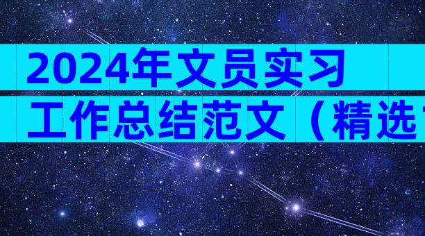 2024年文员实习工作总结范文（精选13篇）