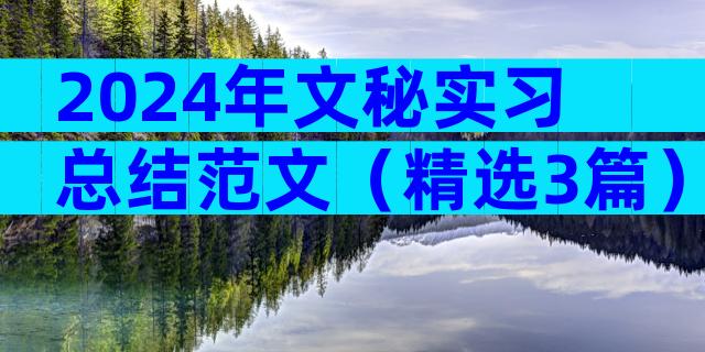2024年文秘实习总结范文（精选3篇）