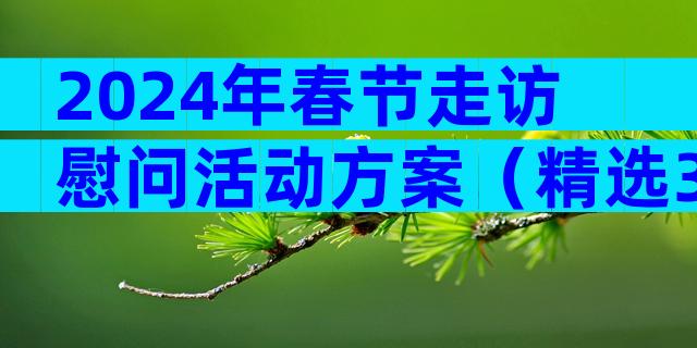 2024年春节走访慰问活动方案（精选31篇）