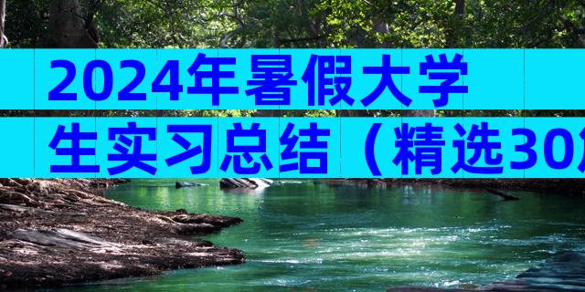 2024年暑假大学生实习总结（精选30篇）