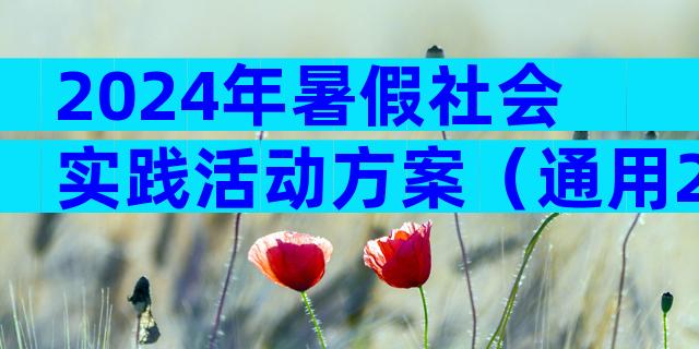 2024年暑假社会实践活动方案（通用29篇）