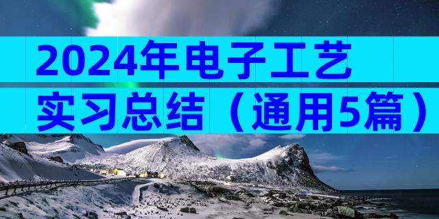 2024年电子工艺实习总结（通用5篇）