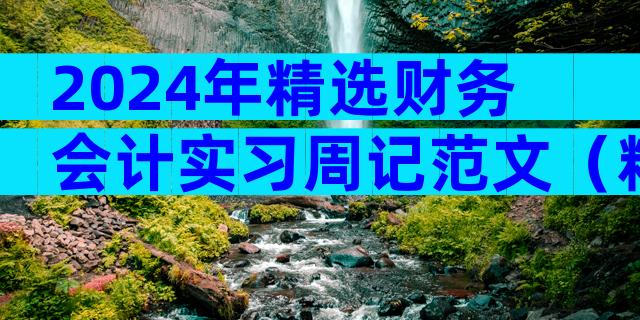 2024年精选财务会计实习周记范文（精选34篇）