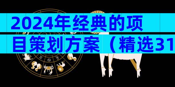 2024年经典的项目策划方案（精选31篇）