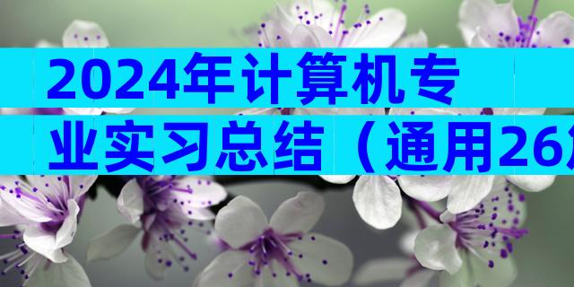 2024年计算机专业实习总结（通用26篇）