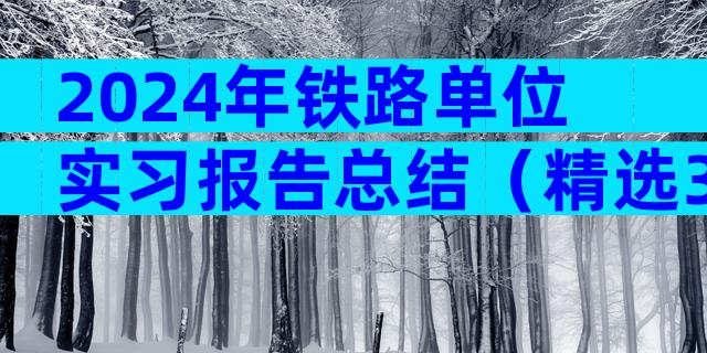 2024年铁路单位实习报告总结（精选3篇）