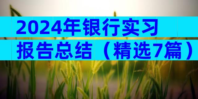 2024年银行实习报告总结（精选7篇）