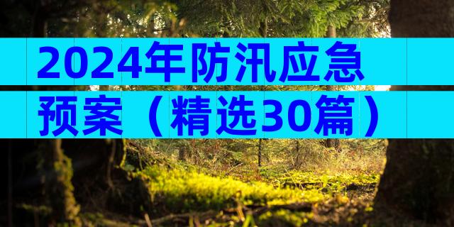 2024年防汛应急预案（精选30篇）