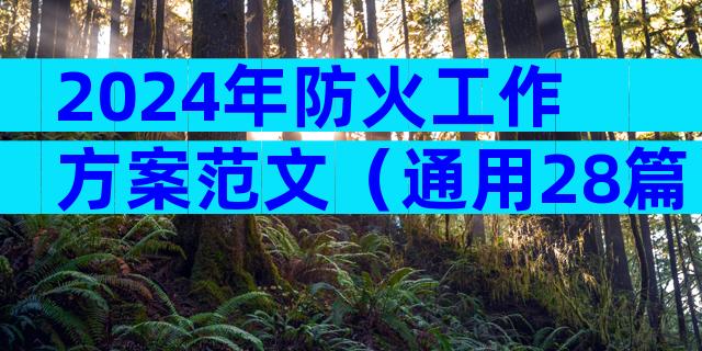 2024年防火工作方案范文（通用28篇）