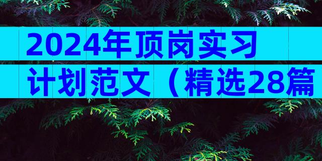 2024年顶岗实习计划范文（精选28篇）