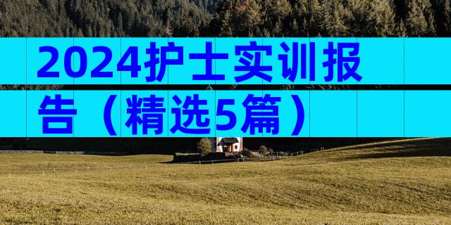 2024护士实训报告（精选5篇）