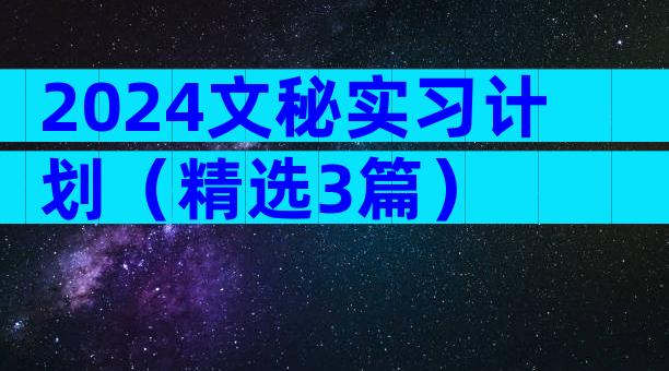 2024文秘实习计划（精选3篇）
