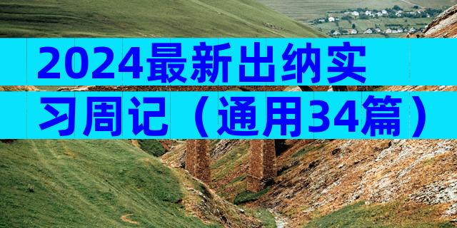 2024最新出纳实习周记（通用34篇）