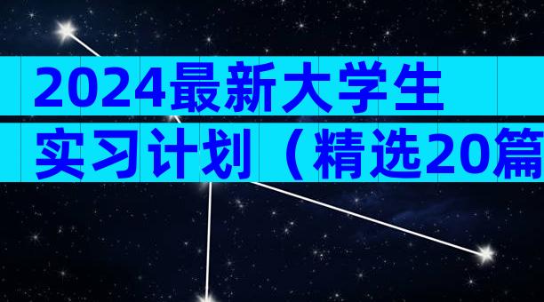 2024最新大学生实习计划（精选20篇）
