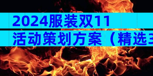 2024服装双11活动策划方案（精选31篇）