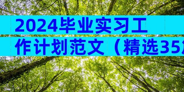 2024毕业实习工作计划范文（精选35篇）