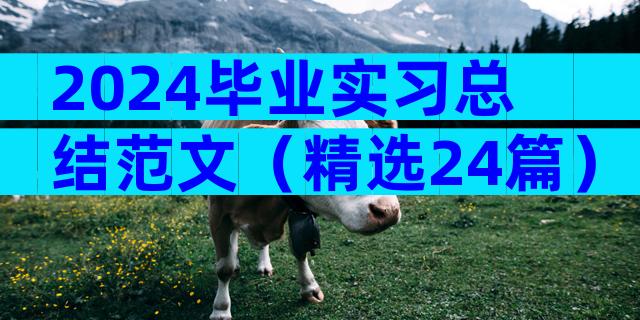 2024毕业实习总结范文（精选24篇）