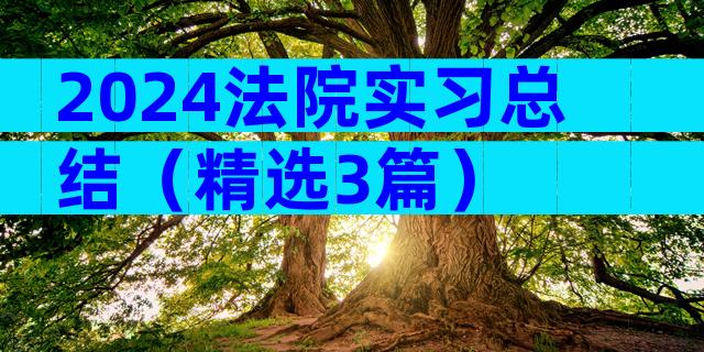 2024法院实习总结（精选3篇）