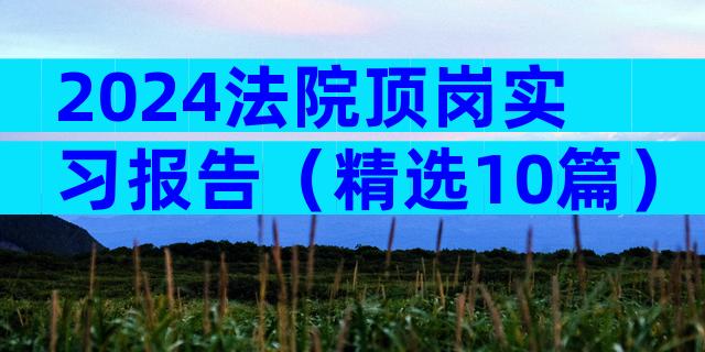 2024法院顶岗实习报告（精选10篇）