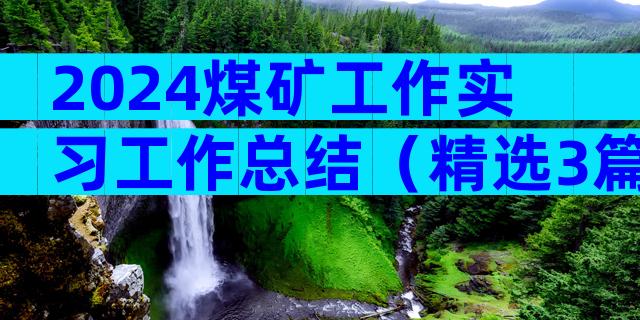 2024煤矿工作实习工作总结（精选3篇）