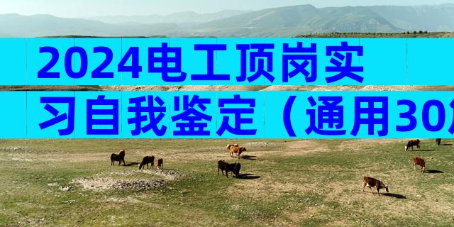 2024电工顶岗实习自我鉴定（通用30篇）