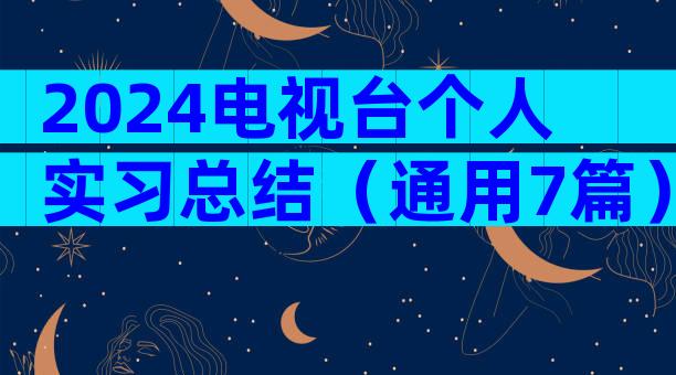 2024电视台个人实习总结（通用7篇）
