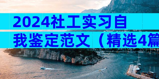 2024社工实习自我鉴定范文（精选4篇）