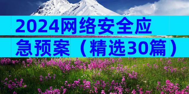 2024网络安全应急预案（精选30篇）