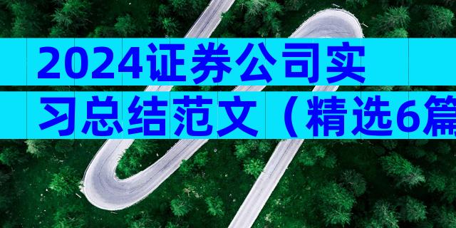 2024证券公司实习总结范文（精选6篇）