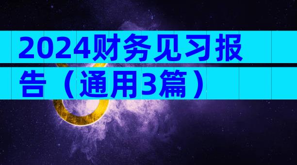 2024财务见习报告（通用3篇）