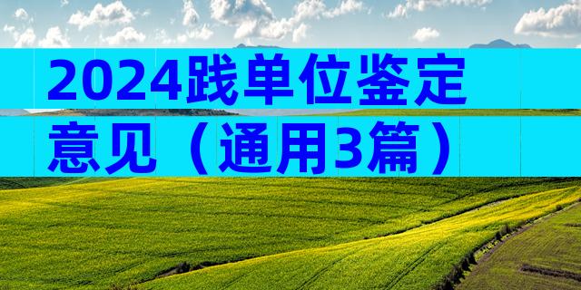 2024践单位鉴定意见（通用3篇）