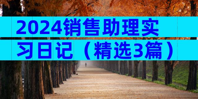 2024销售助理实习日记（精选3篇）