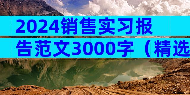 2024销售实习报告范文3000字（精选32篇）