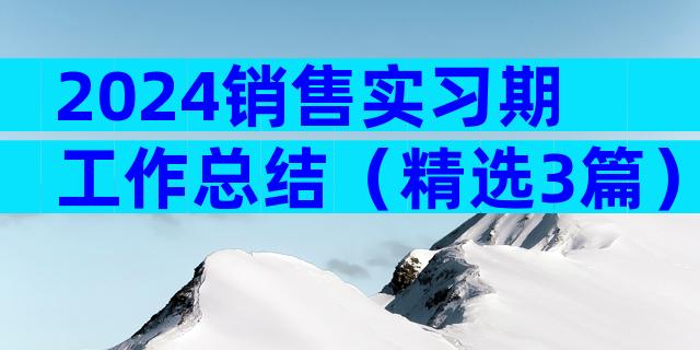 2024销售实习期工作总结（精选3篇）