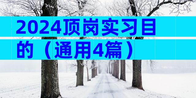 2024顶岗实习目的（通用4篇）