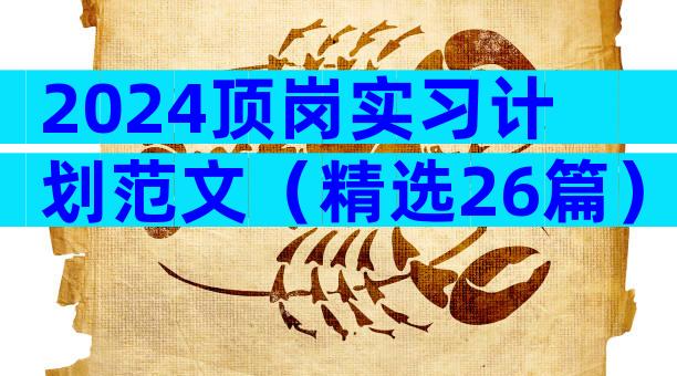 2024顶岗实习计划范文（精选26篇）