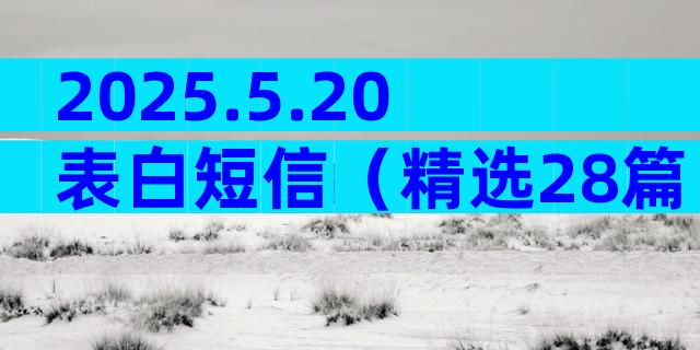 2025.5.20表白短信（精选28篇）