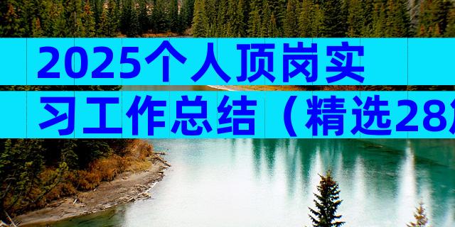 2025个人顶岗实习工作总结（精选28篇）