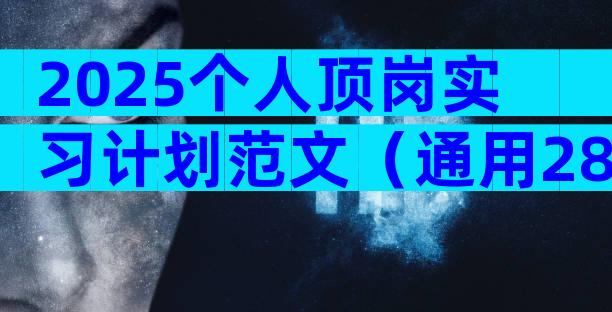 2025个人顶岗实习计划范文（通用28篇）
