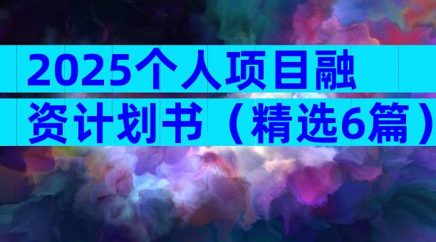 2025个人项目融资计划书（精选6篇）