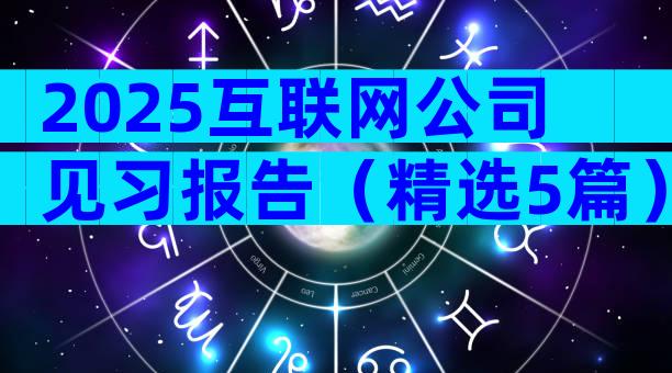 2025互联网公司见习报告（精选5篇）
