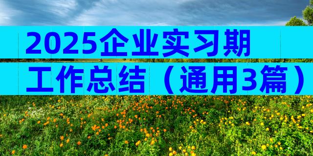 2025企业实习期工作总结（通用3篇）