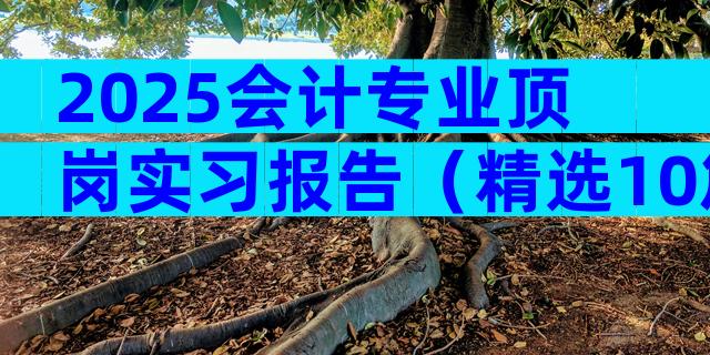 2025会计专业顶岗实习报告（精选10篇）