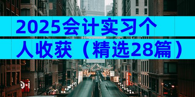 2025会计实习个人收获（精选28篇）