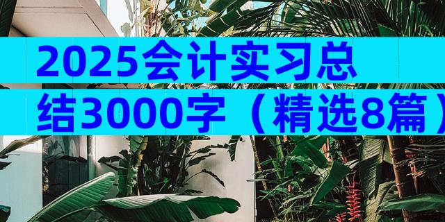 2025会计实习总结3000字（精选8篇）
