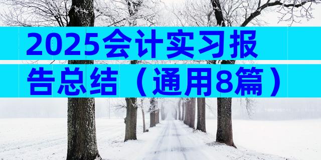 2025会计实习报告总结（通用8篇）