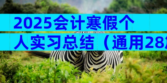 2025会计寒假个人实习总结（通用28篇）
